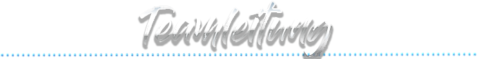 Teamleitung